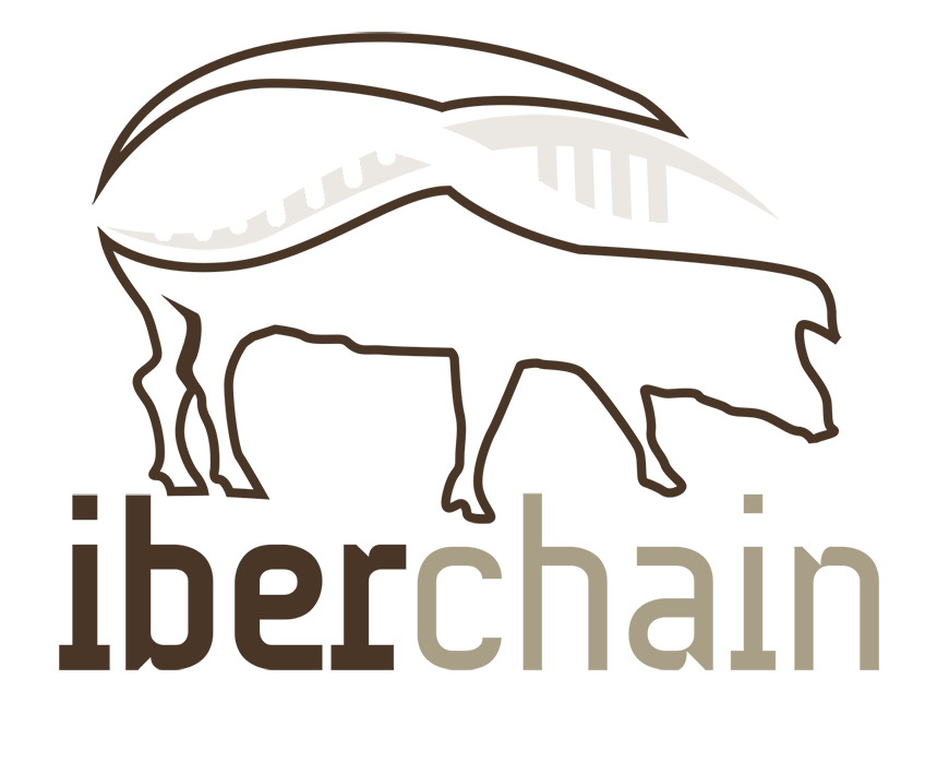 Iberchain